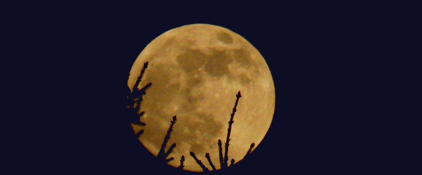 Der Vollmond und eine Chance für uns