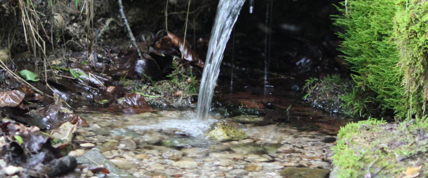 Reise zum Wasserfall der Liebe