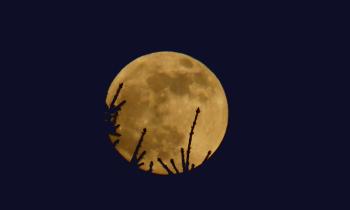 Der Vollmond und eine Chance für uns