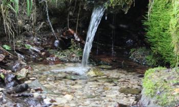 Reise zum Wasserfall der Liebe